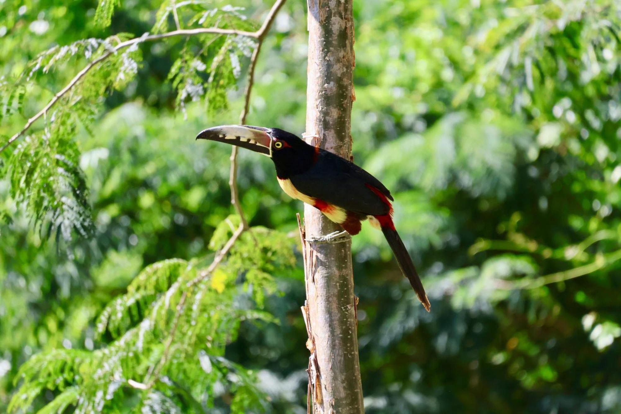 Villa Cayo San Ignacio Esterno foto